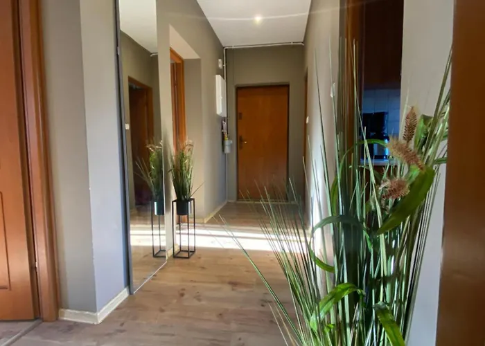 4 - 86 M2 - 300 M Od Rynku Apartment Wroclaw