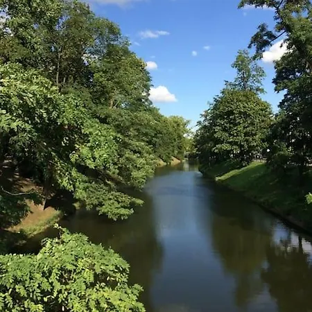 4 - 86 M2 - 300 M Od Rynku アパート