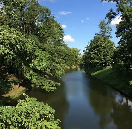 4 - 86 M2 - 300 M Od Rynku Apartamento