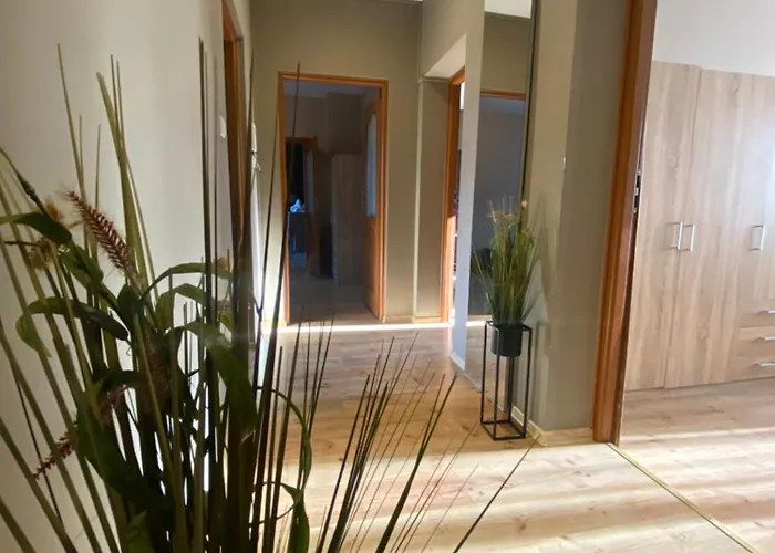 4 - 86 M2 - 300 M Od Rynku