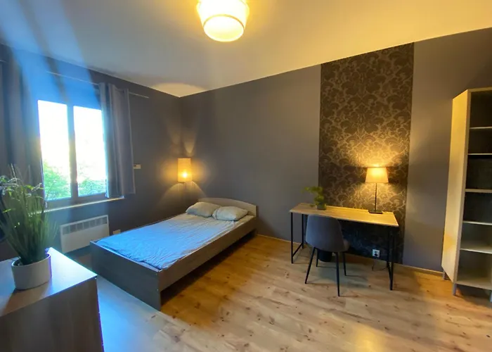 4 - 86 M2 - 300 M Od Rynku Wrocław